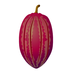 Cacao en grano