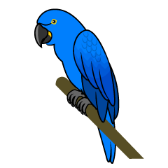 Blue Parrot