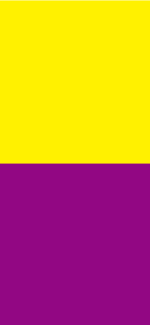 Yellow and Purple