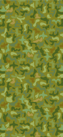 Camouflage