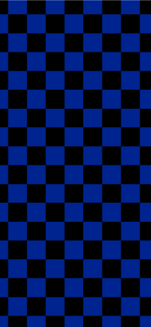 Blue and Black Check