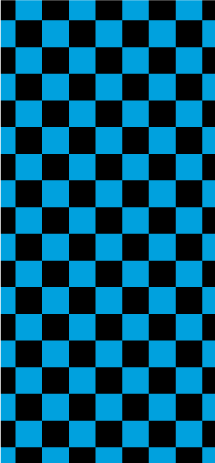 Light Blue and Black Check