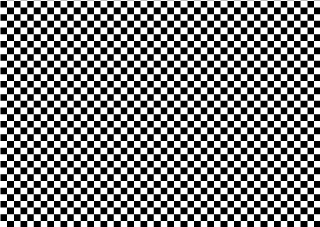 Black and White Checker