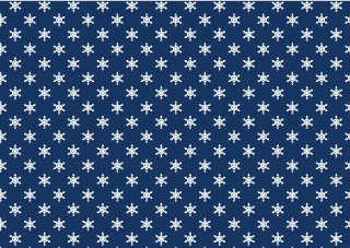 Snowflake on Navy