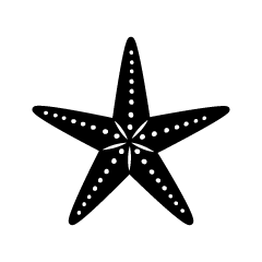 Starfish Silhouette