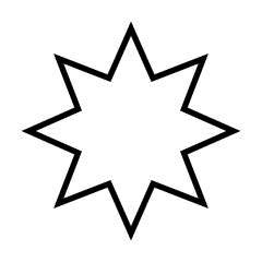 Estrella Blanca Octagonal