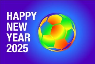 2025 Soccer Ball