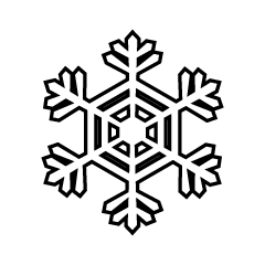 Snowflake Black and White  2