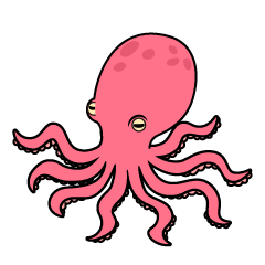 Pink Octopus