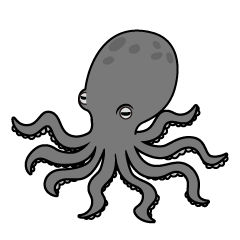 Gray Octopus