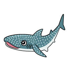 Whale Shark