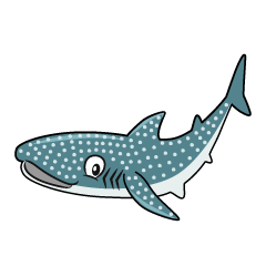 Whale Shark