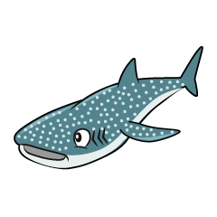 Whale Shark