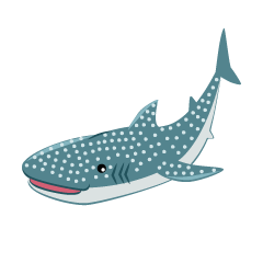 Cute Whale Shark