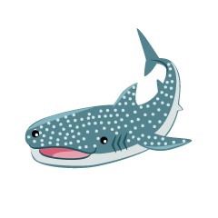 Cute Whale Shark