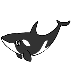 Orca