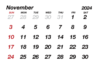 Calendario Noviembre 2024 sin líneas