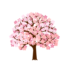 Cherry Blossom Tree