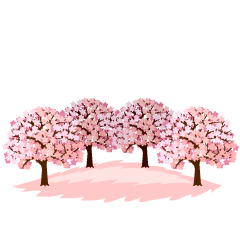 Cherry Blossom Trees