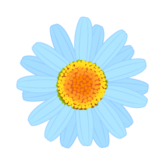 Light Blue Daisy Flower