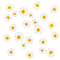 Many Daisies